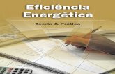 Eficiencia Energetica Teoria e Pratica