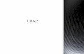 FRAP – Facilitated Risk Analysis Process