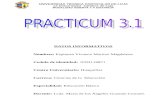 Practicum 3.1 Mariuxi i Bimensual-sup