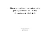 Material MS Project