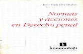 Silva Sanchez, Jesus Maria - Normas y Acciones en Derecho Penal (1)