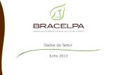 Bracelpa, 2013 - Panorama