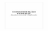 Constituição Academicamente Explicada - 2007