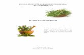 Projeto Com-Vida - Tema:  Plantas Medicinais