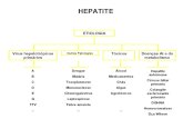 Aula Hepatite B