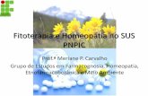 Fitoterapia e Homeopatia No Sus Pnpic (1)