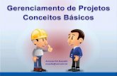 Gerenciamento de projeto-conceitos basicos.pps