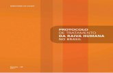 M Saude Protocolo de Tratamento Raiva Humana 2011