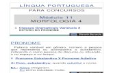 Módulo 11 - Morfologia 4 - Classes Gramaticais Variáveis 2 (Pronomes)