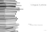 Livro Lingua Latina