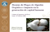 MIP Del Algodon Organico (CIP 2008)
