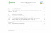 2 Informe Patologia Puente Sobre Rio Mandiva v2 18102013 (1)
