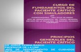 01) Dr. Cerna - Principios Generales Del Paciente Critico