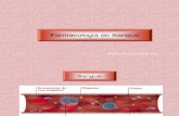 Farmacologia do Sangue.pdf