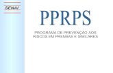 PPRPS 2011