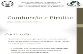 Combustão e Pirolise.pdf