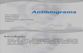 Trabalho - Antibiograma (1)