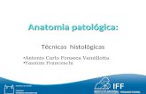 Anatomia Patológica - Técnicas Histológicas (IFF-FIOCRUZ)