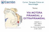 2 - Via Motora Piramidal y Extrapiramidal PDF