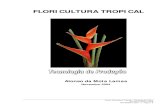 Curso Floricultura Tropical - Tecnicas de Cultivo