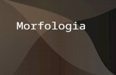 AA morfologia e Lógica