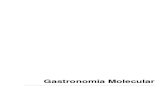 0_Gastronomia Molecular 2010.2