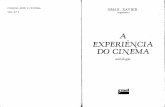 (Livro) Ismail Xavier - A Experiência do Cinema