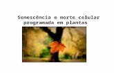 Senescência e morte celular programada em plantas