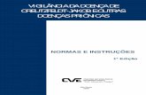 Manual revisão vDCJ [2008]