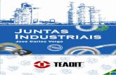 Teadit - Juntas Industriais