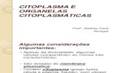 CITOPLASMA E ORGANELAS CITOPLASMÁTICAS- Pré-enem