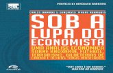 Sob a Lupa do Economista - Gonçalves, Rodrigues