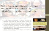 nações indígenas no brasil - slide 2