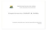 Experimento SNMP & MIBs