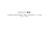 02- Programação em Oracle11g PLSQL