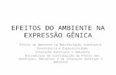 AULA 8 - 1 EFEITOS DO AMBIENTE NA EXPRESSÃO GÊNICA