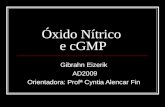 Ox Nitric o Cgmp