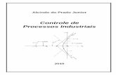 ALCINDO_Controle de Processos Industriais