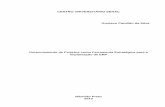 Monografia Gerenciamento de Projetos (PMI) - Implantação ERP