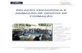 Relacao Pedagogica e Animacao de Grupos de Formacao