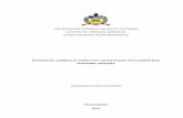Monografia - Leonardo Faria Wildner Estrutura Juridica Sc