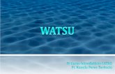 método watsu