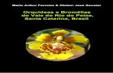 Orquideas e Bromelias do Vale do Rio do Peixe, Santa Catarina