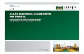 O gás natural liquefeito no brasil