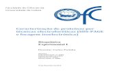 Bioquímica Experimental I - SDS-PAGE e IEF.pdf