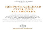 Lopez Cabana, Roberto - Responsabilidad Civil Por Accidentes