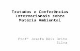 Tratados e Conferências Internacionais sobre Matéria Ambiental