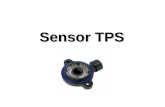 Sensor TPS