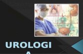 Especialidade médica - Urologia