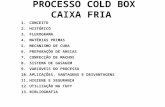 Processo Cold Box Apresenta Ao1